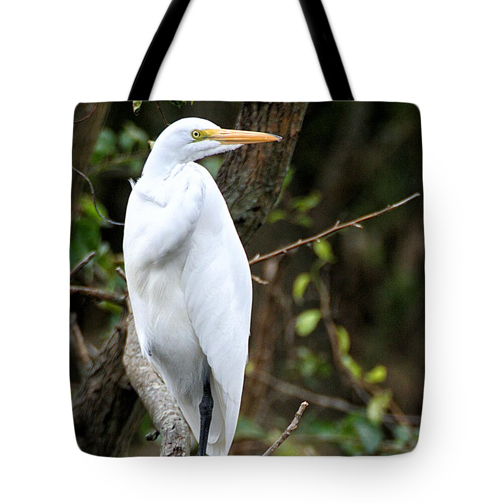Animal Tote Bag featuring the photograph Egret on a Limb by William Selander