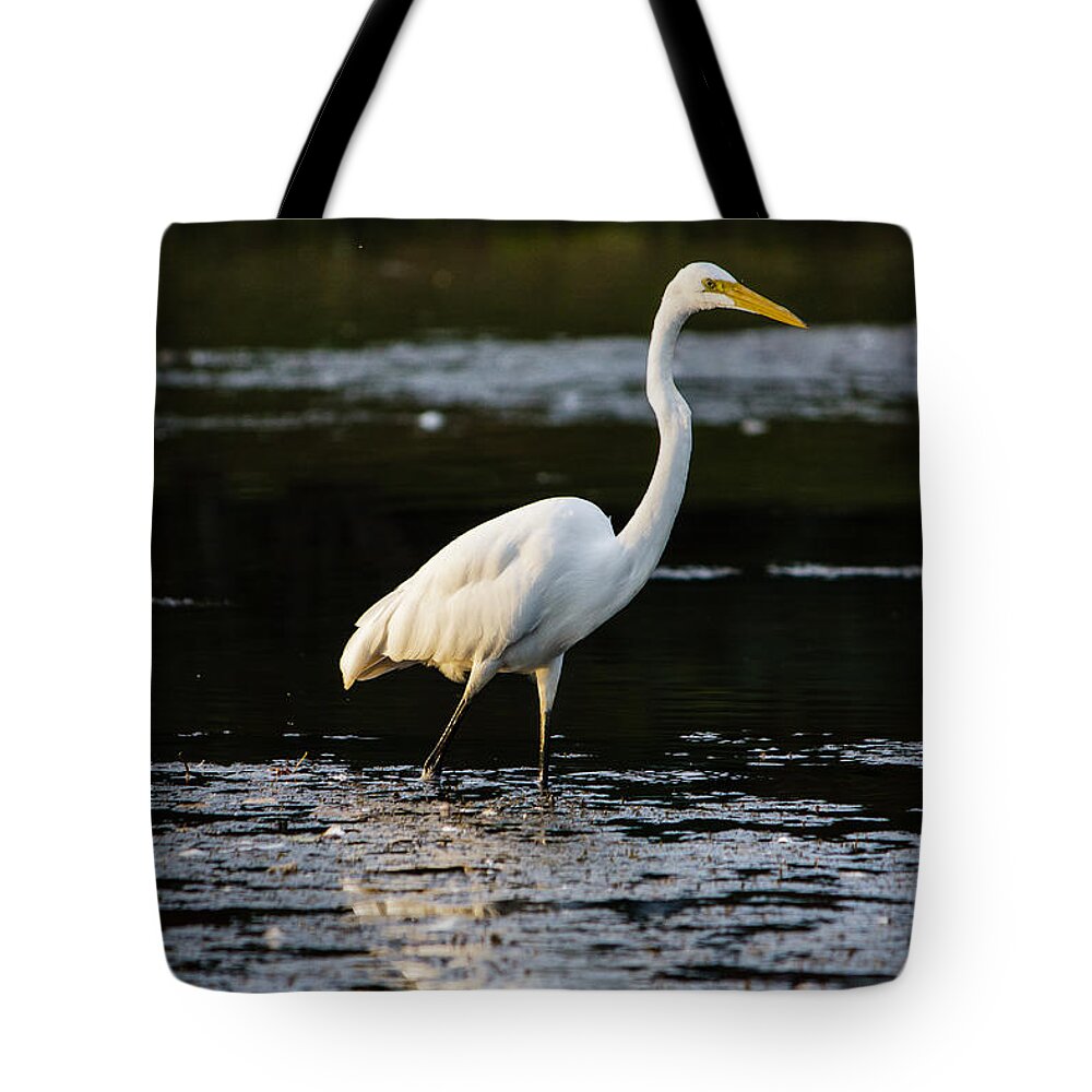 John F Kennedy Memorial Park Tote Bag featuring the photograph Egret by SAURAVphoto Online Store