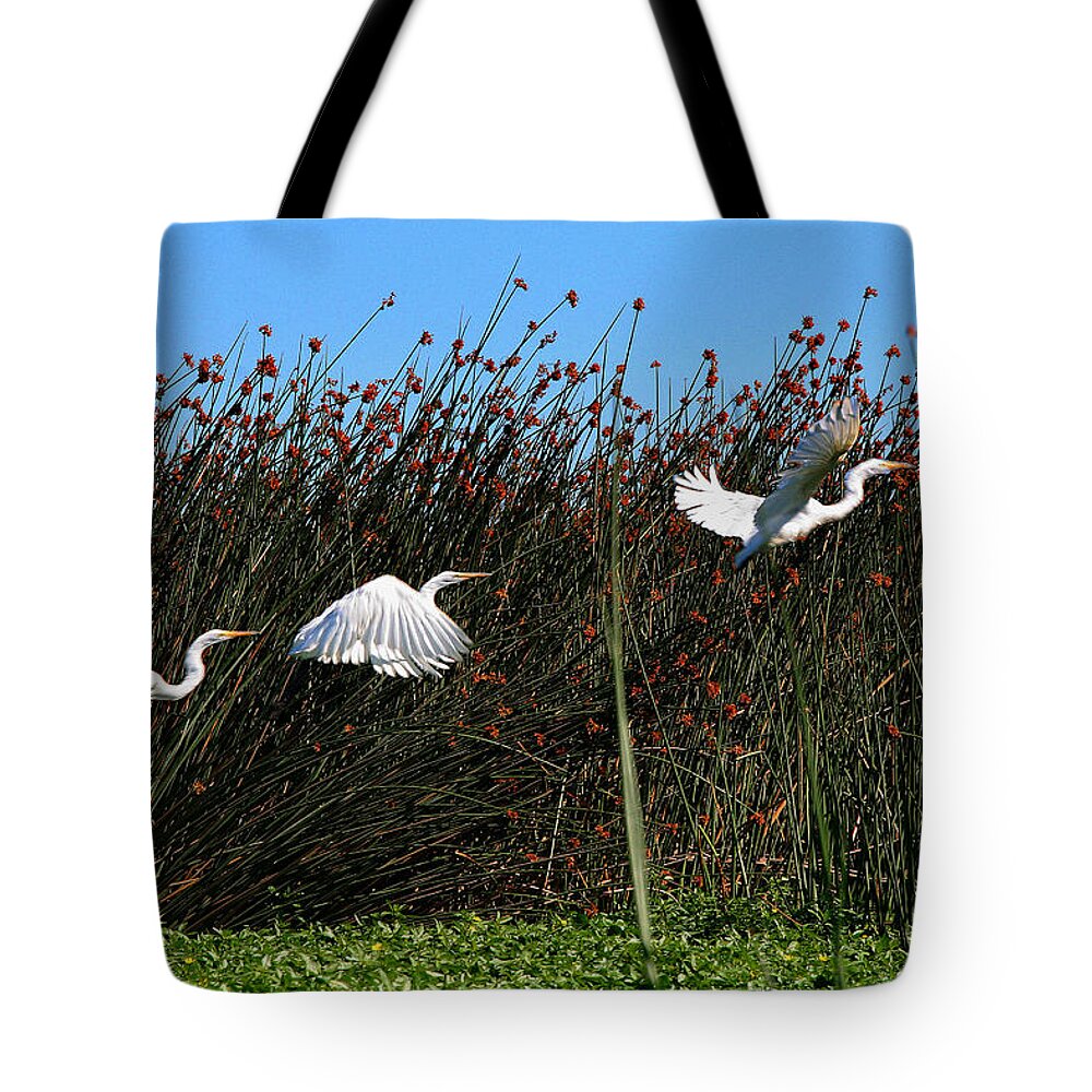 Composite Tote Bag featuring the photograph Egret Taking Off by Robert Woodward