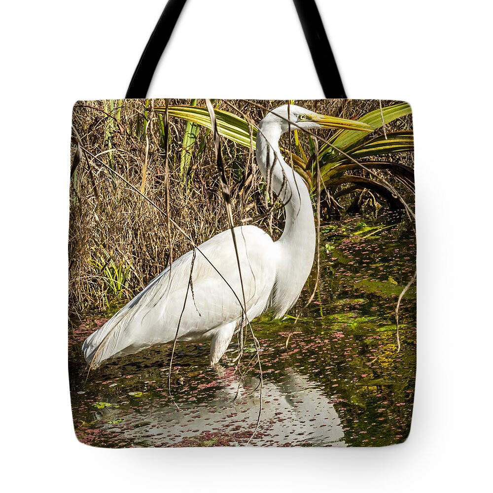 Bird Tote Bag featuring the photograph Egret Wading by Kate Brown