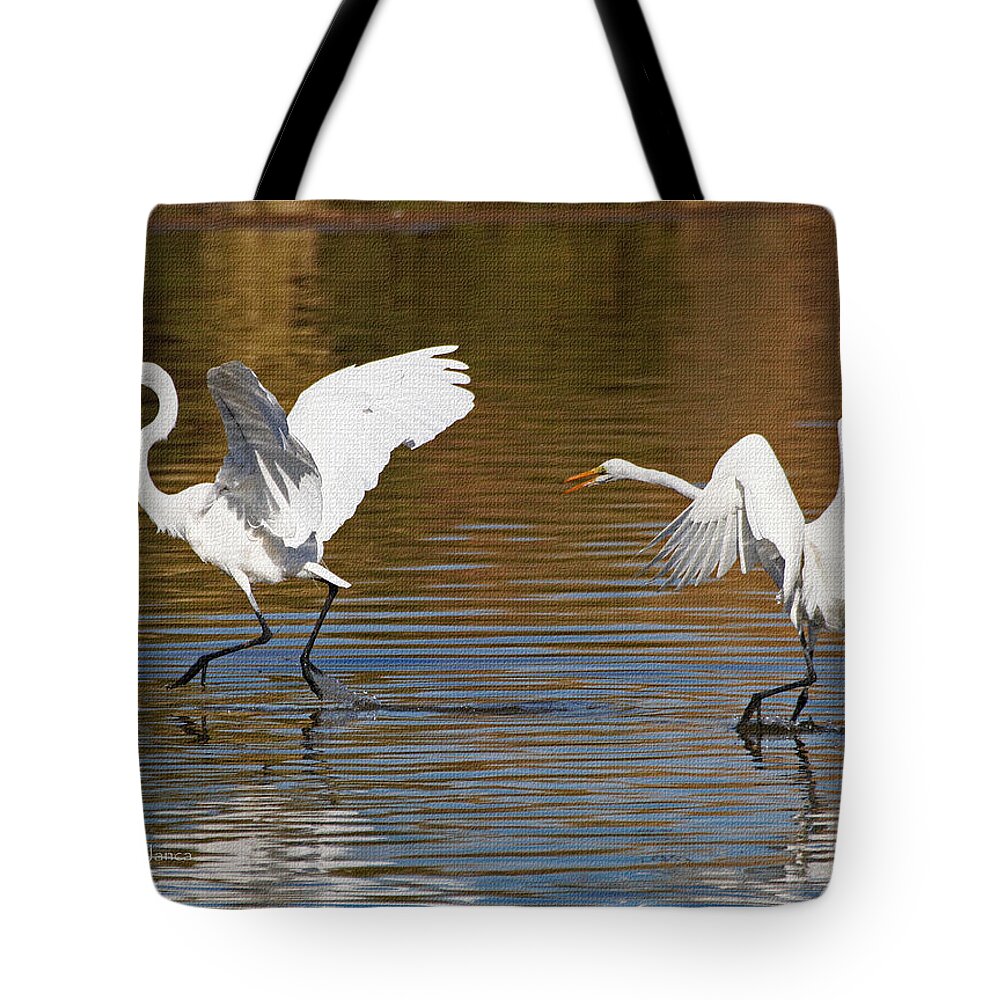 Egrets Playing Chase Tote Bag featuring the photograph Egrets Playing Chase by Tom Janca