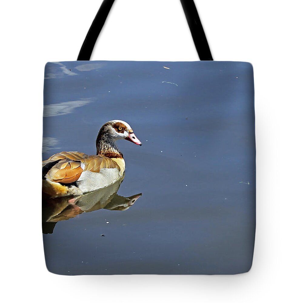 Birds Tote Bag featuring the photograph Egyptian Goose by Tony Murtagh