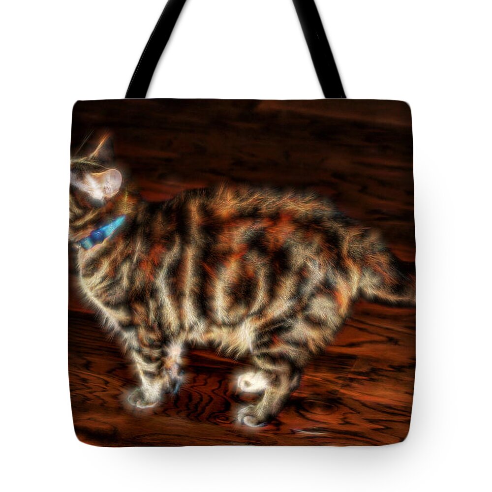 Electric Tote Bag featuring the photograph Electric Kitty by Lucy VanSwearingen