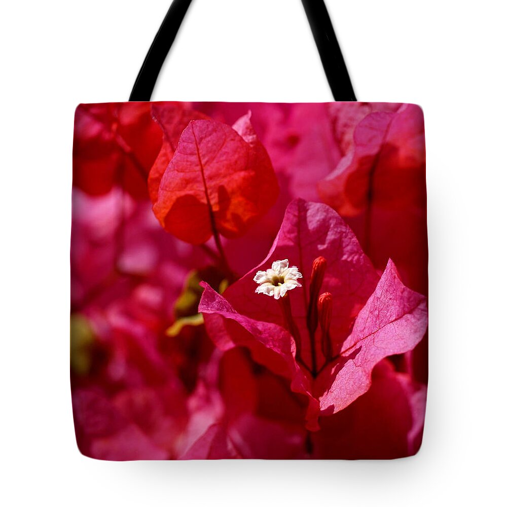Bougainvillea Tote Bag featuring the photograph Electric Pink Bougainvillea by Rona Black