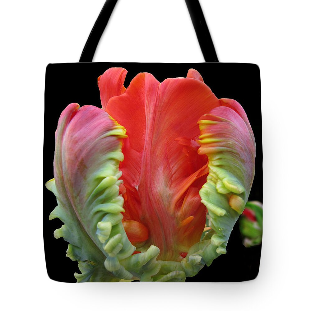 Tulip Tote Bag featuring the photograph Elegant by Arlene Carmel