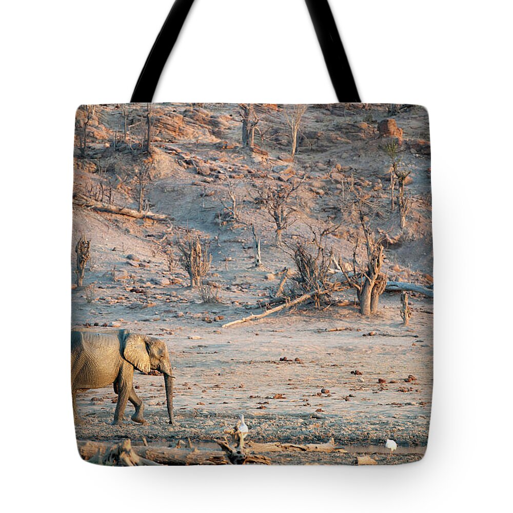Scenics Tote Bag featuring the photograph Elephant Among Desert Landscape by Christopher Scott