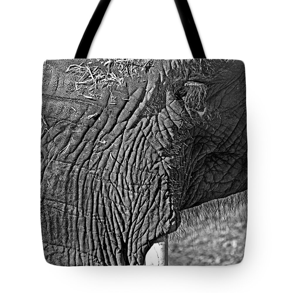 African Elephant Tote Bag featuring the photograph Elephant.. dont cry by Miroslava Jurcik