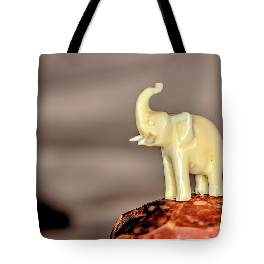 Still Life Tote Bag featuring the photograph Elephant on rock by Scott Carlton