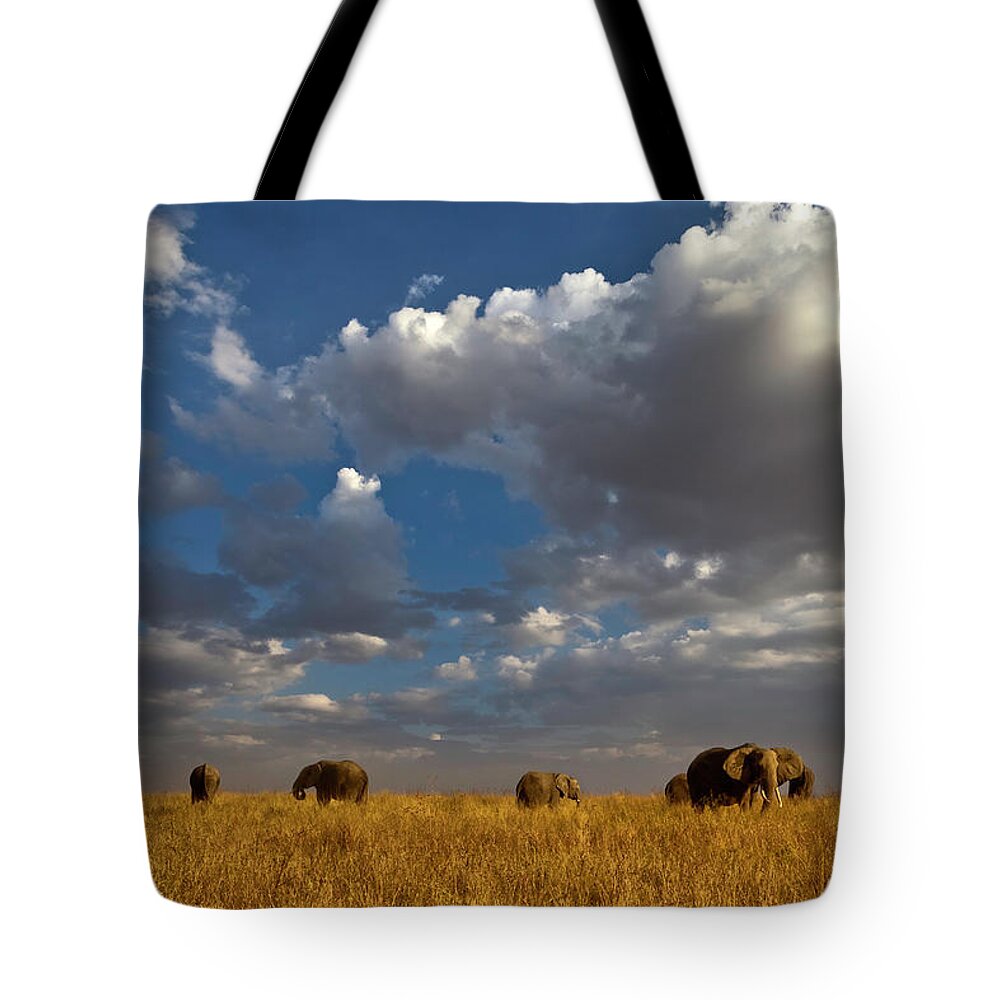 Scenics Tote Bag featuring the photograph Elephants At Serengeti National Park by John Wang