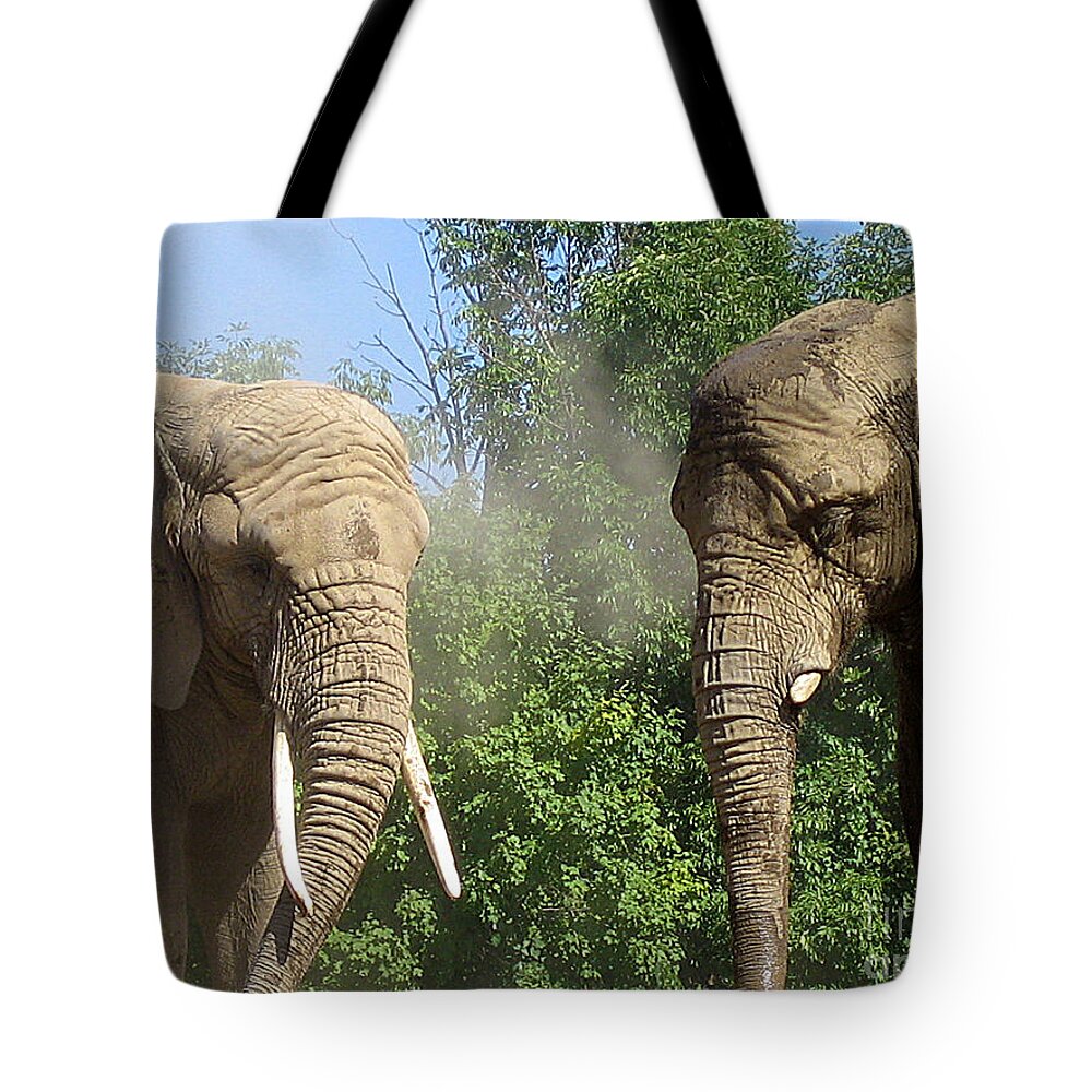 Elephants Tote Bag featuring the photograph Elephants in the sand by Nina Silver