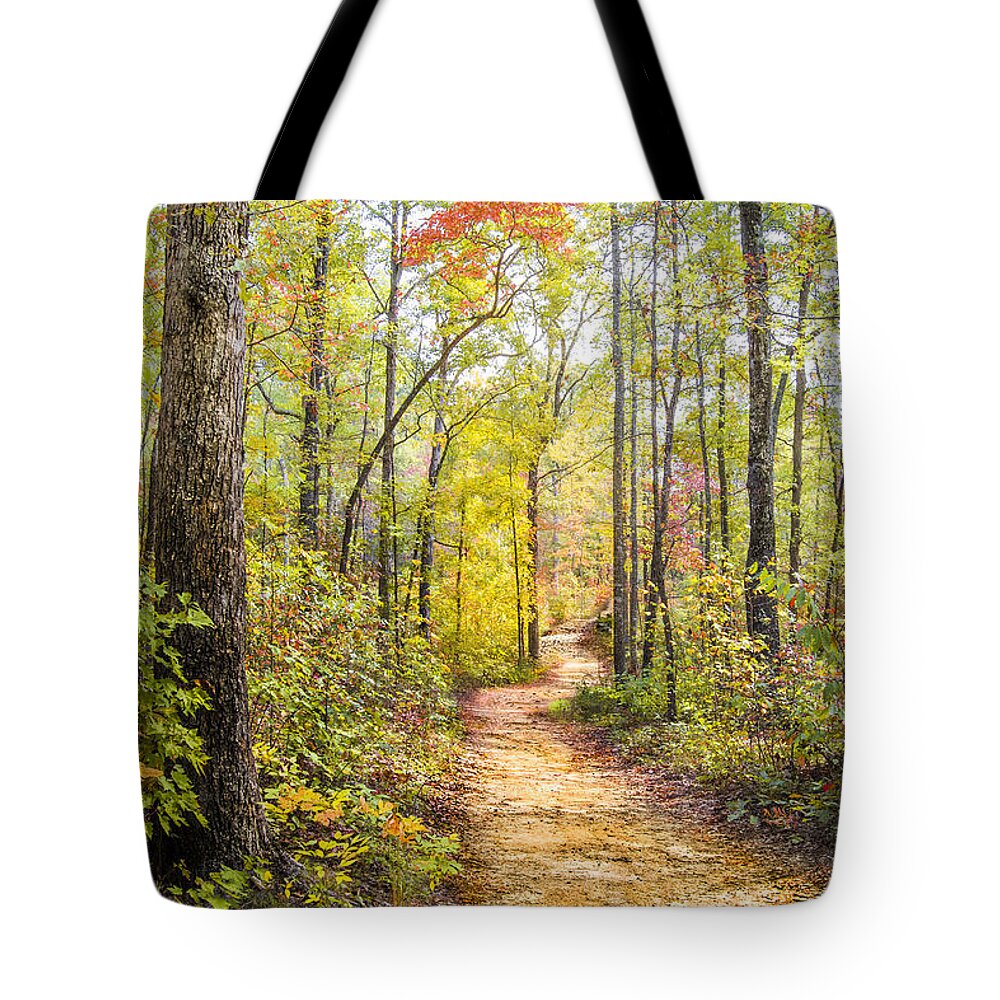 Appalachia Tote Bag featuring the photograph Elfin Forest by Debra and Dave Vanderlaan