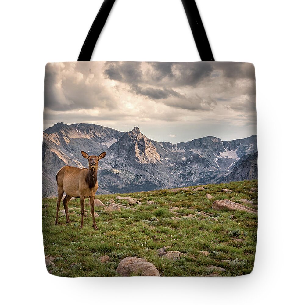 Scenics Tote Bag featuring the photograph Elk In The Mountains, Rocky Mountain by Michael Riffle