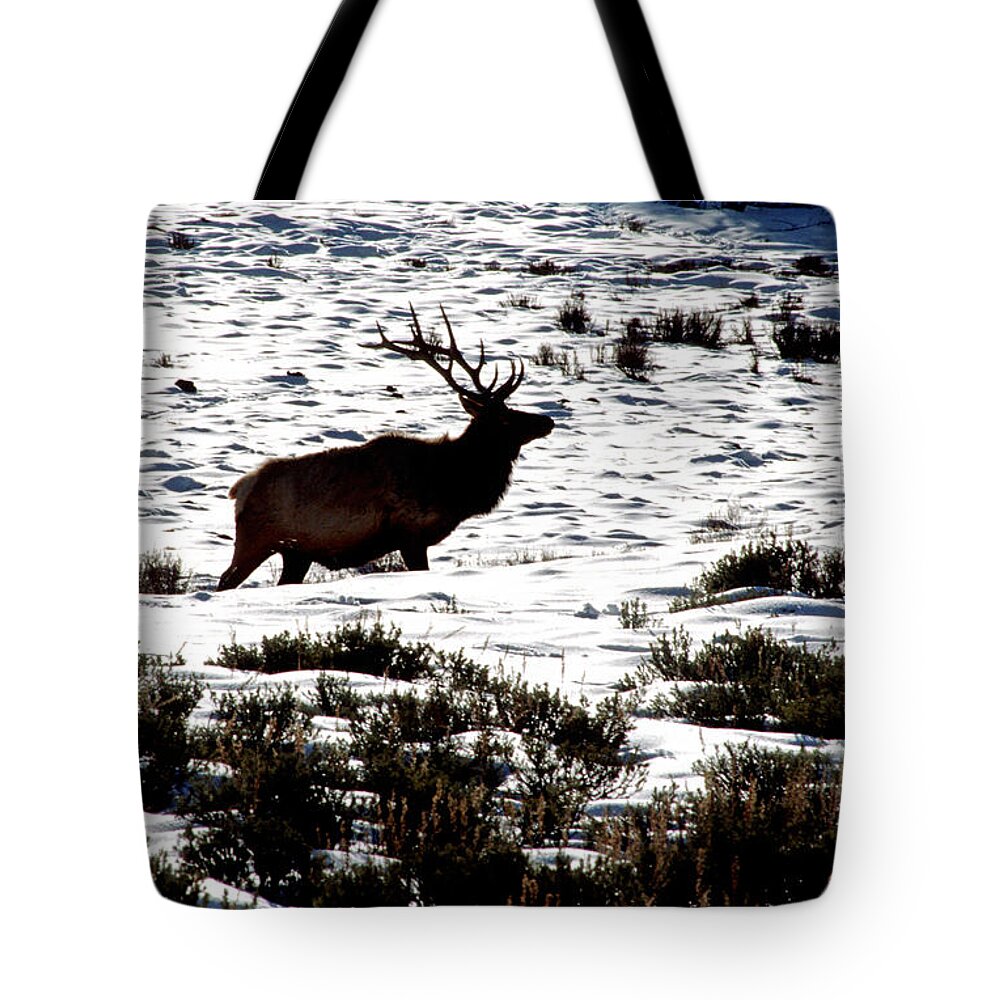 Yellowstone National Park Tote Bag featuring the photograph Elk Silhouette by Sharon Elliott