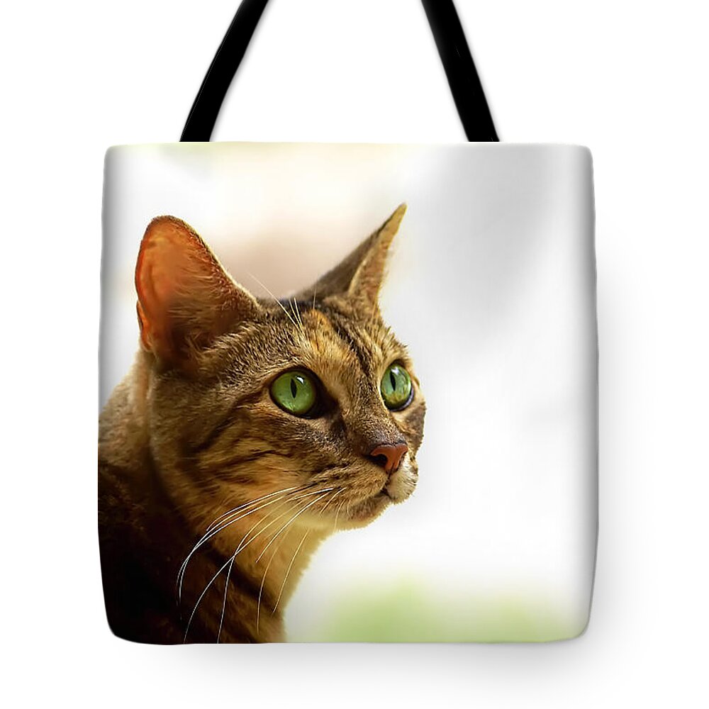 Cat Tote Bag featuring the photograph Emerald Eyes by Olga Hamilton