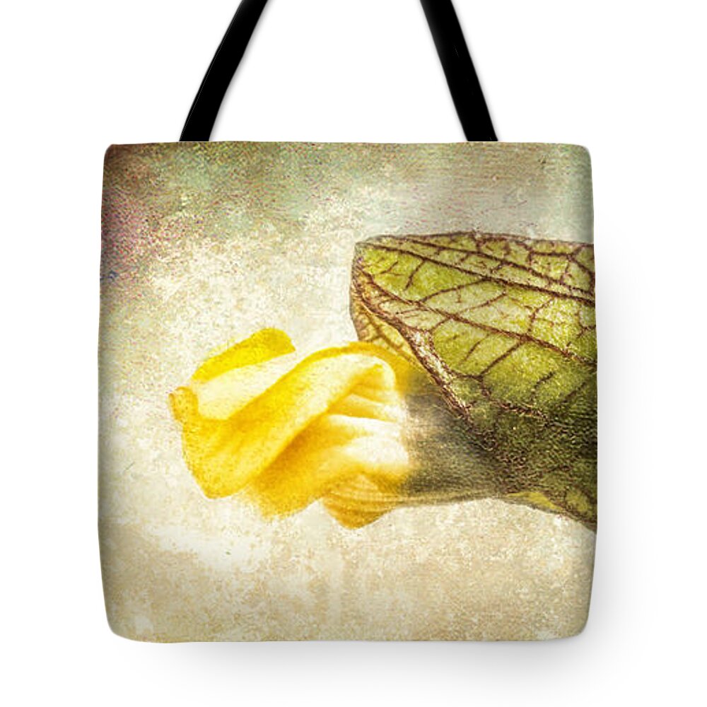 Bud Tote Bag featuring the photograph Emerging by Caitlyn Grasso