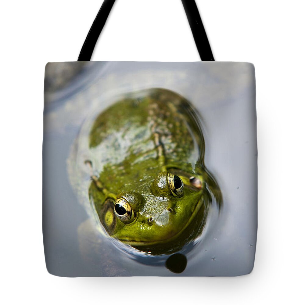 Frog Tote Bag featuring the photograph Emerging Green by Christina Rollo