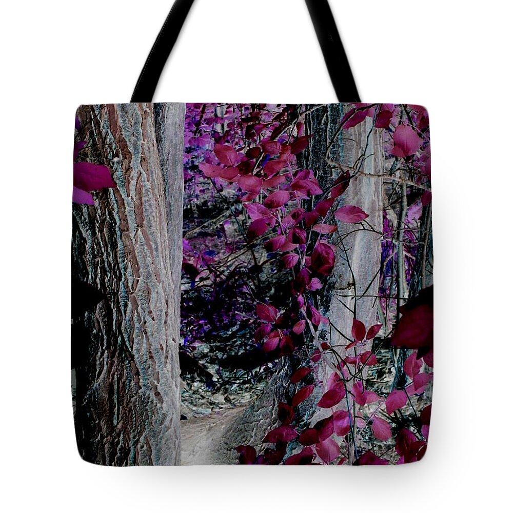 Enchanted Tote Bag featuring the photograph Enchanted Forest by Martin Howard