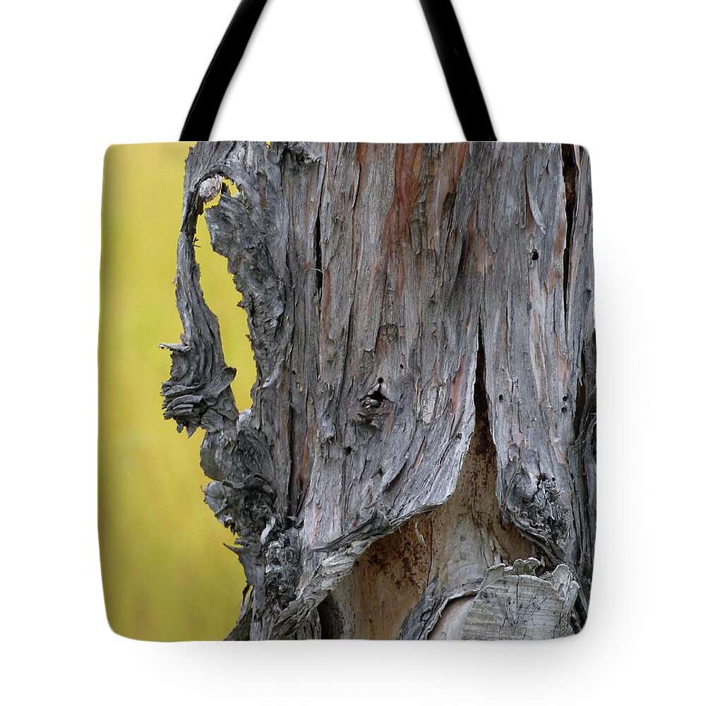 Newel Hunter Tote Bag featuring the painting Enchanted by Newel Hunter