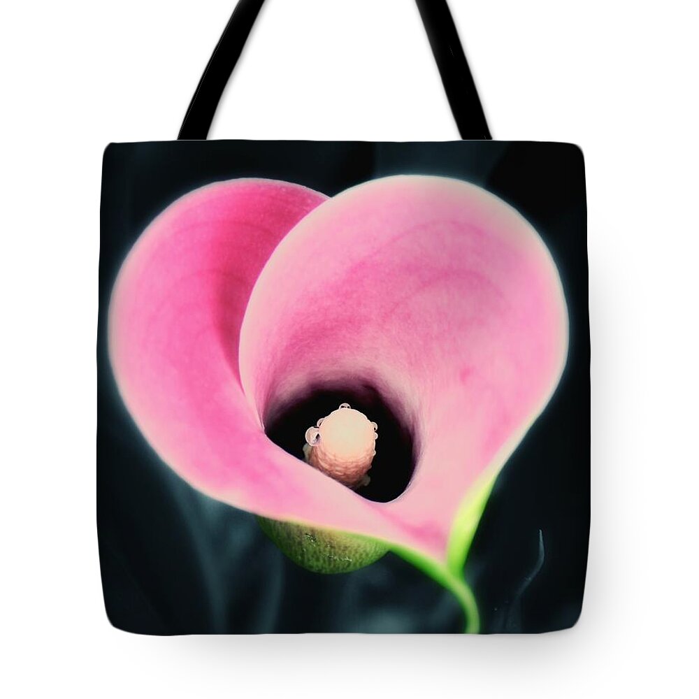 Heart Tote Bag featuring the photograph Enduring Heart by Sharon Woerner