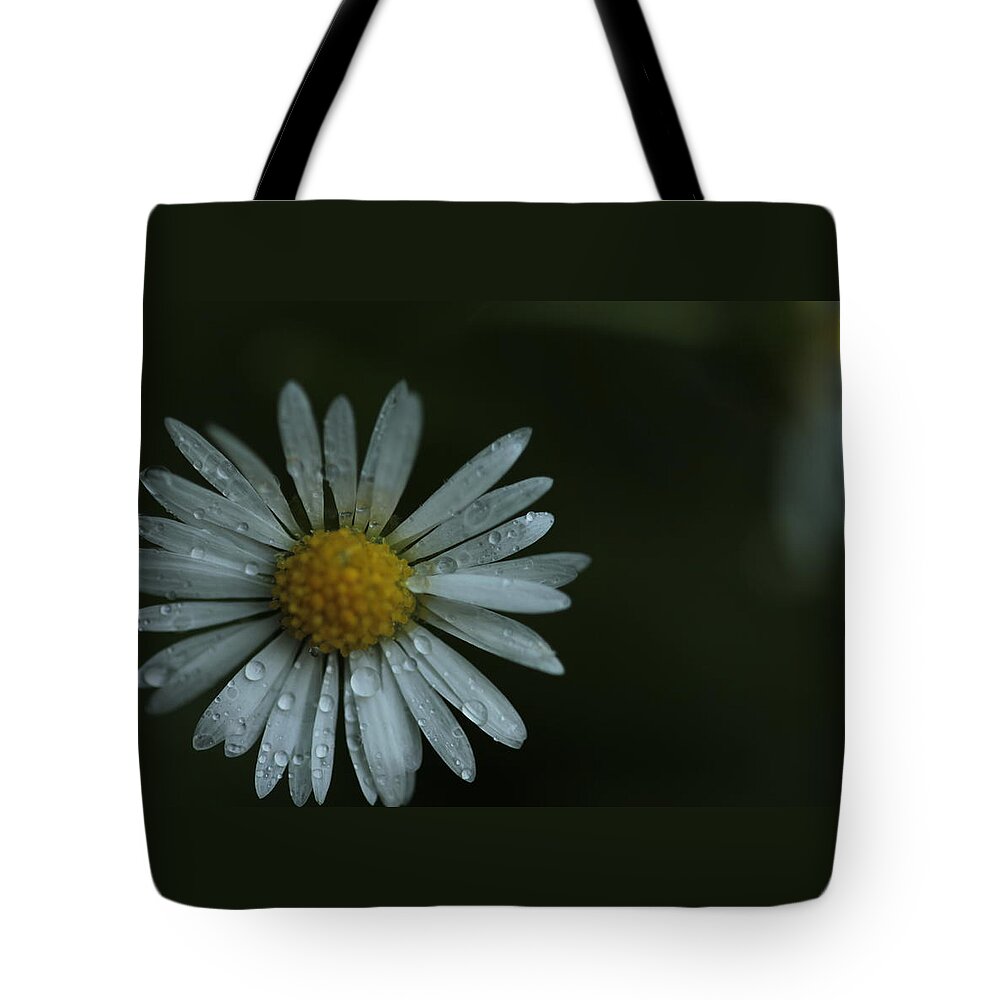 Daisy Tote Bag featuring the photograph English Daisy and Rain Drops by Valerie Collins