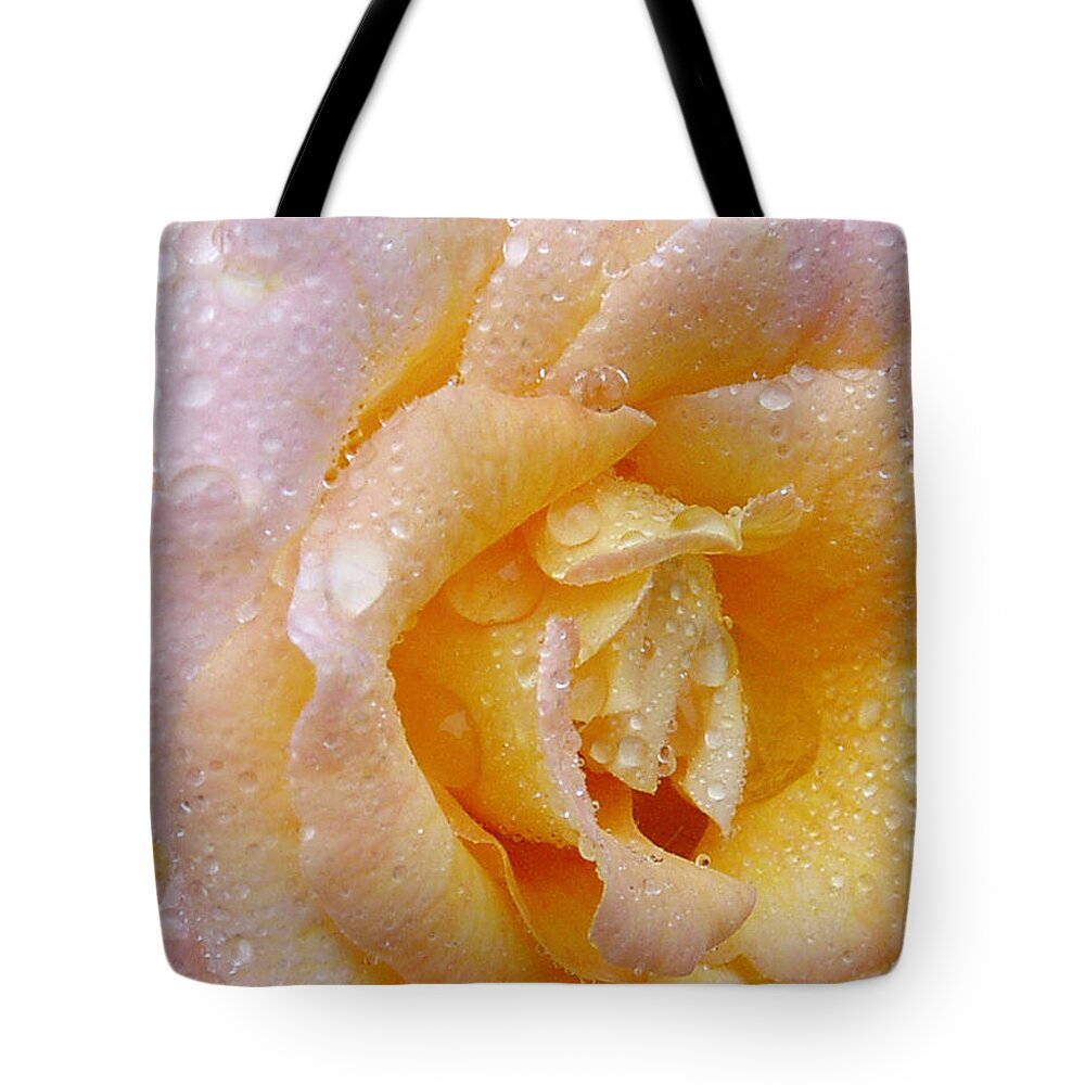 Rose Tote Bag featuring the photograph After the rain by Sue Leonard