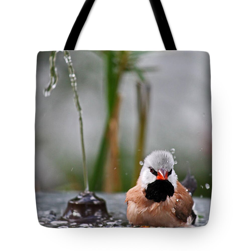 Bird Tote Bag featuring the photograph Enjoying my shower by Lily K