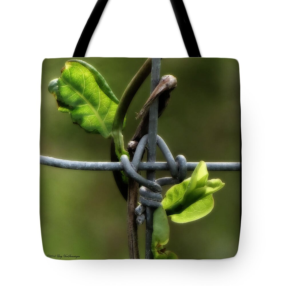 Fence Tote Bag featuring the photograph Entwined by Lucy VanSwearingen
