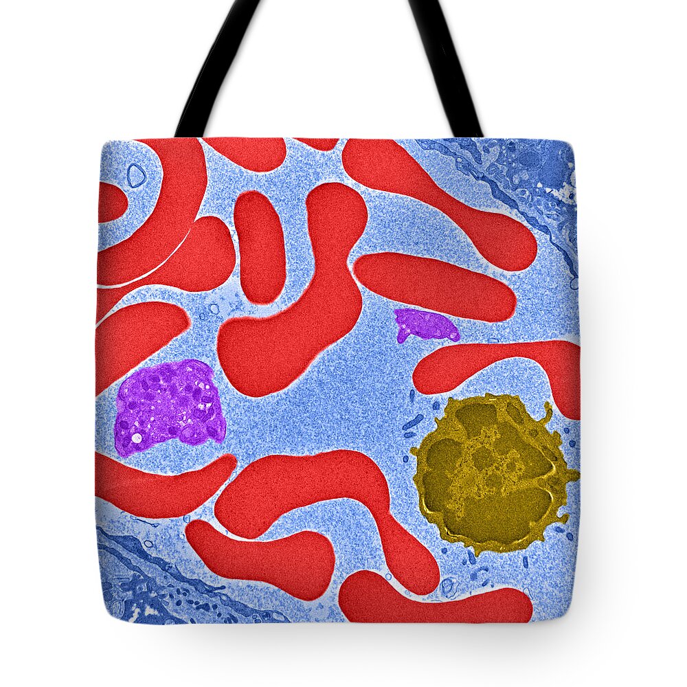 Science Tote Bag featuring the photograph Erythrocytes, Platelet And Lymphocyte by Science Source