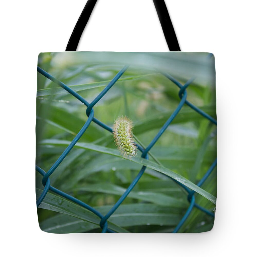 Escaping Tote Bag featuring the photograph Escaping from My Alcatraz by Donato Iannuzzi