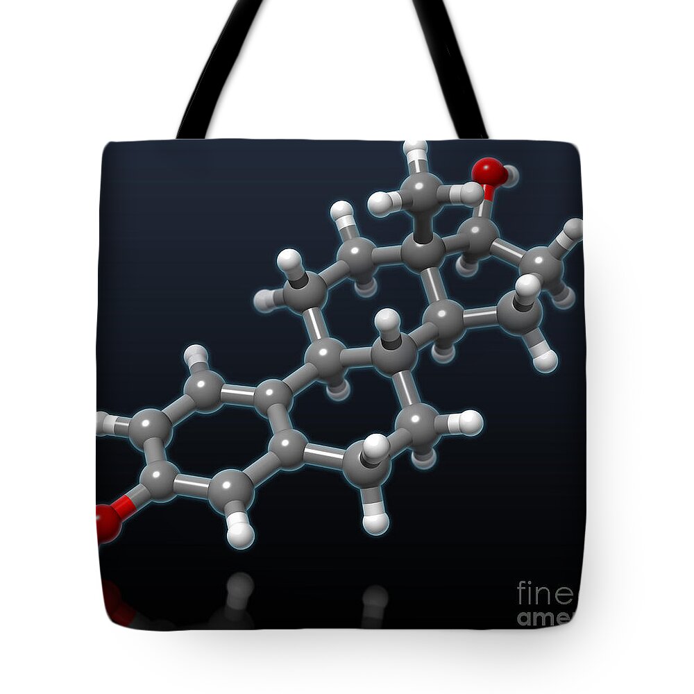 Molecular Tote Bag featuring the photograph Estradiol Molecular Model by Evan Oto