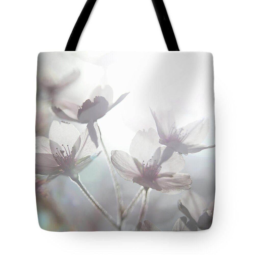 Outdoors Tote Bag featuring the photograph Ethereal Shot Of White Cherry Blossom by Mickey Cashew