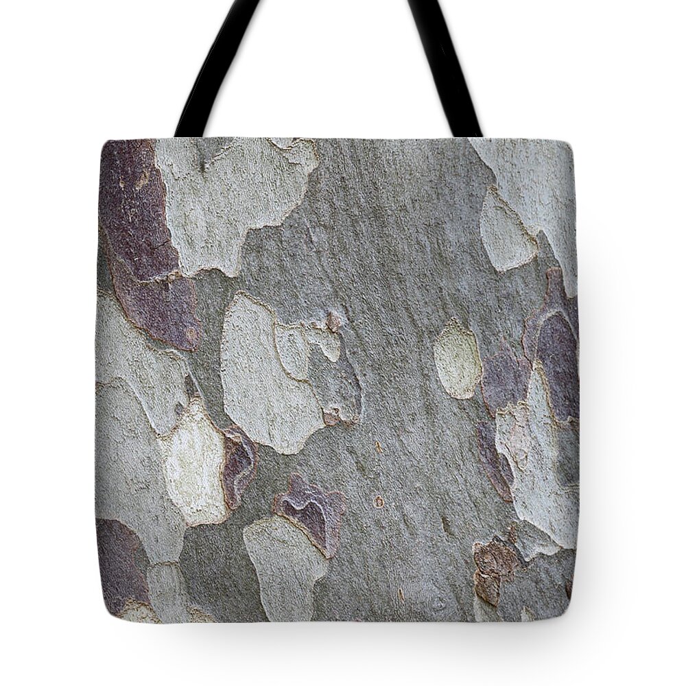 Aging Process Tote Bag featuring the photograph Eucalyptus Tree Bark Full Frame by Tom And Steve