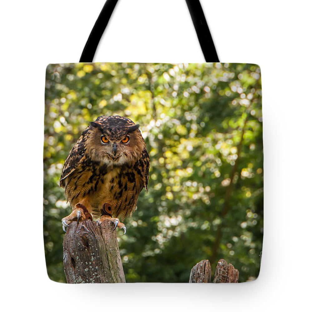 Owl Tote Bag featuring the photograph Eurasian Eagle Owl by Anthony Sacco