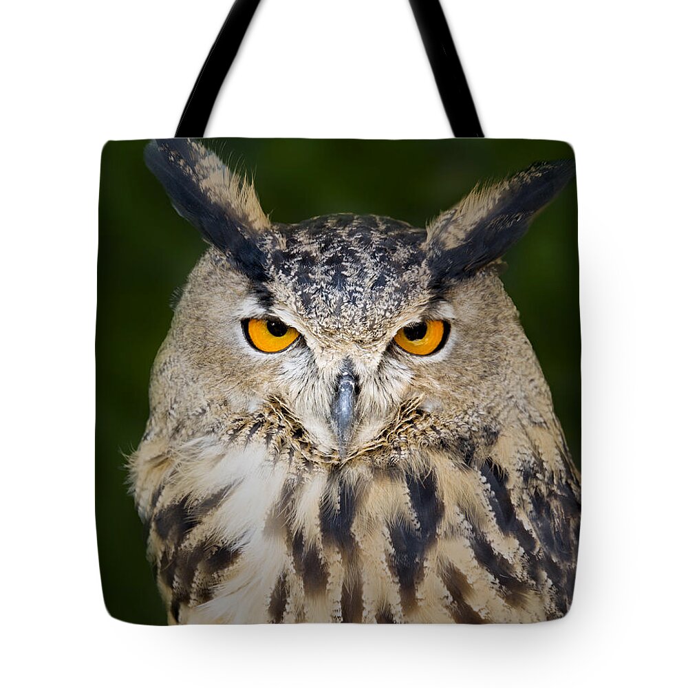Eurasian Eagle Owl Tote Bag featuring the photograph Eurasian Eagle Owl by Susan Candelario