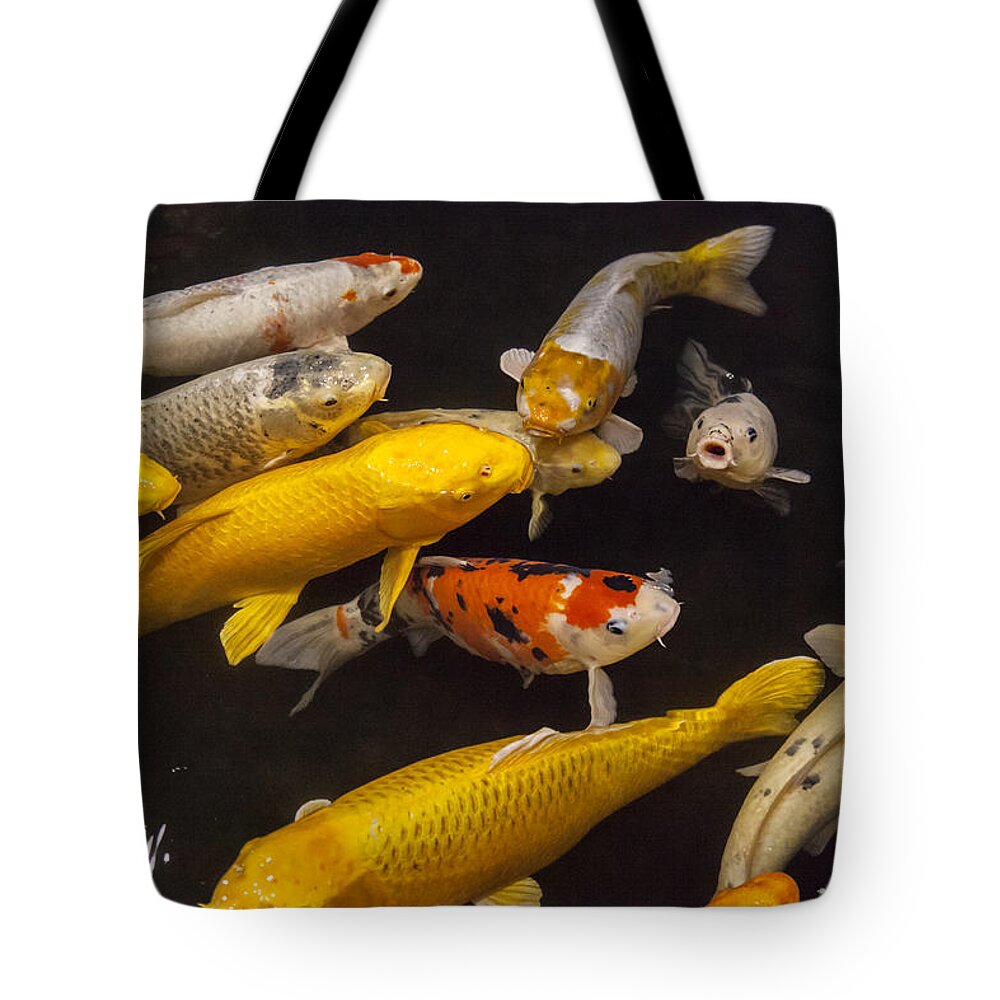 Colin Monteath Tote Bag featuring the photograph European Carp by Colin Monteath