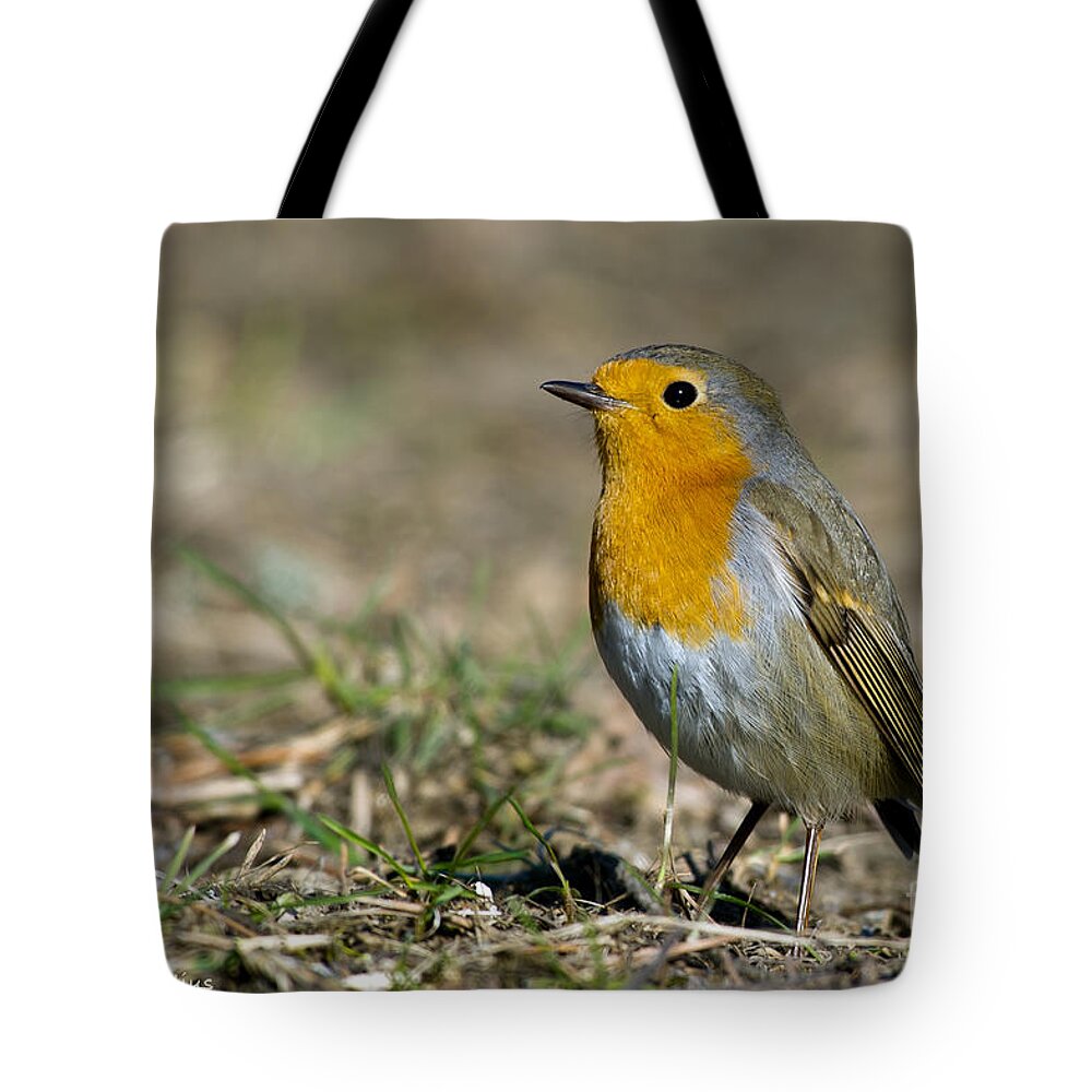 European Robin Tote Bag featuring the photograph European Robin by Torbjorn Swenelius