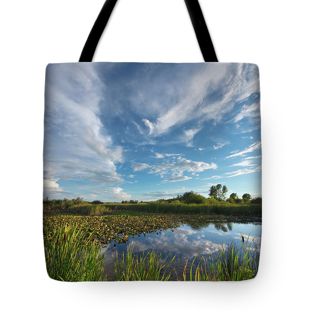 00559203 Tote Bag featuring the photograph Clouds In the Snake River by Yva Momatiuk John Eastcott
