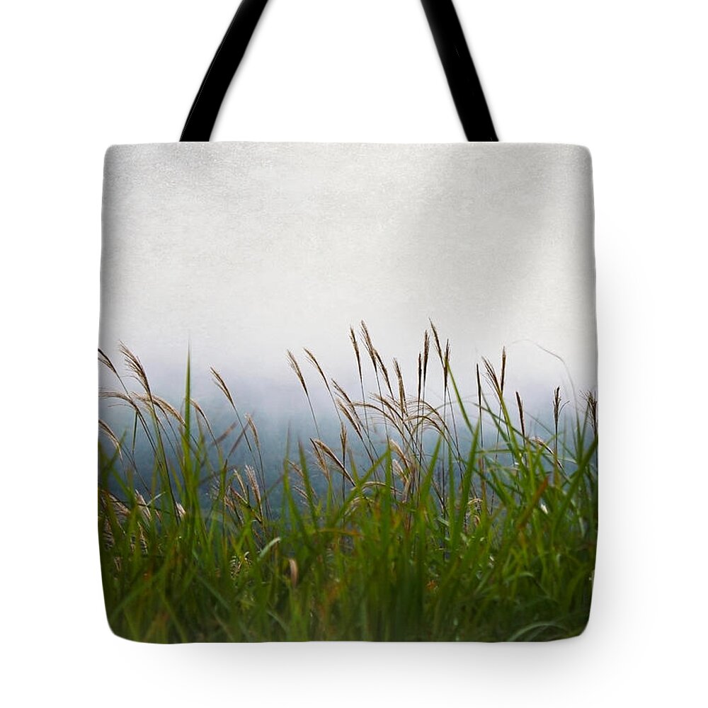 Landscape Tote Bag featuring the photograph Evening Mist by Eena Bo