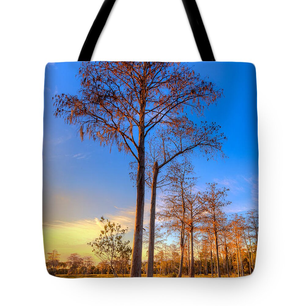 Clouds Tote Bag featuring the photograph Everglades at Sunset by Debra and Dave Vanderlaan