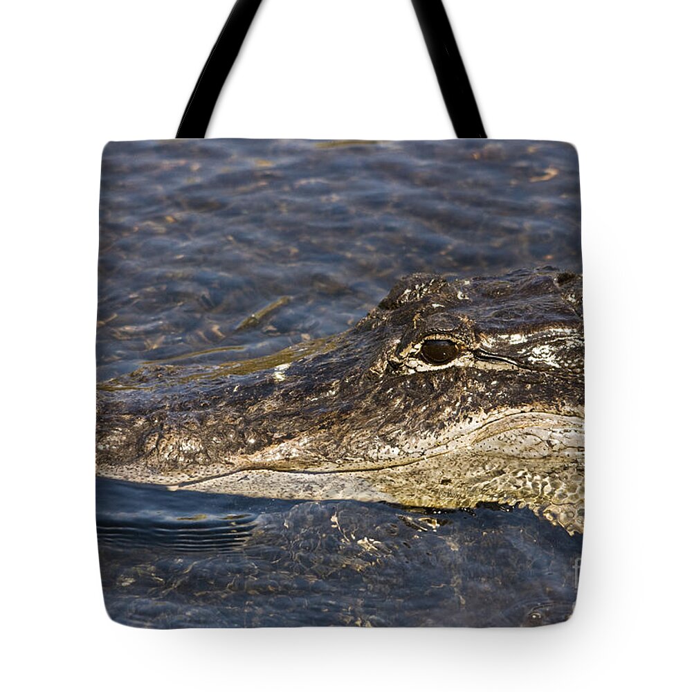 Everglades Tote Bag featuring the photograph Everglades Gator by John Greco