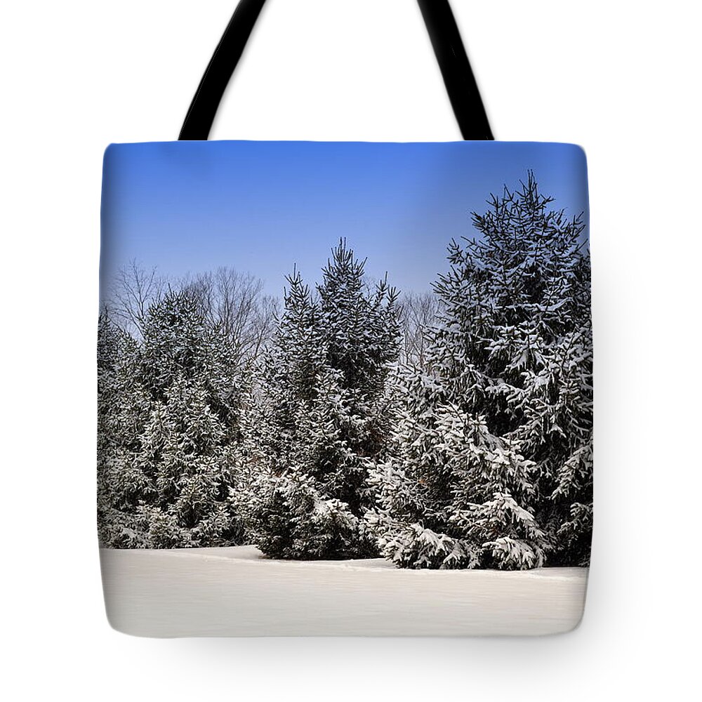 Winter Tote Bag featuring the photograph Evergreen Trees in Winter by Amy Lucid