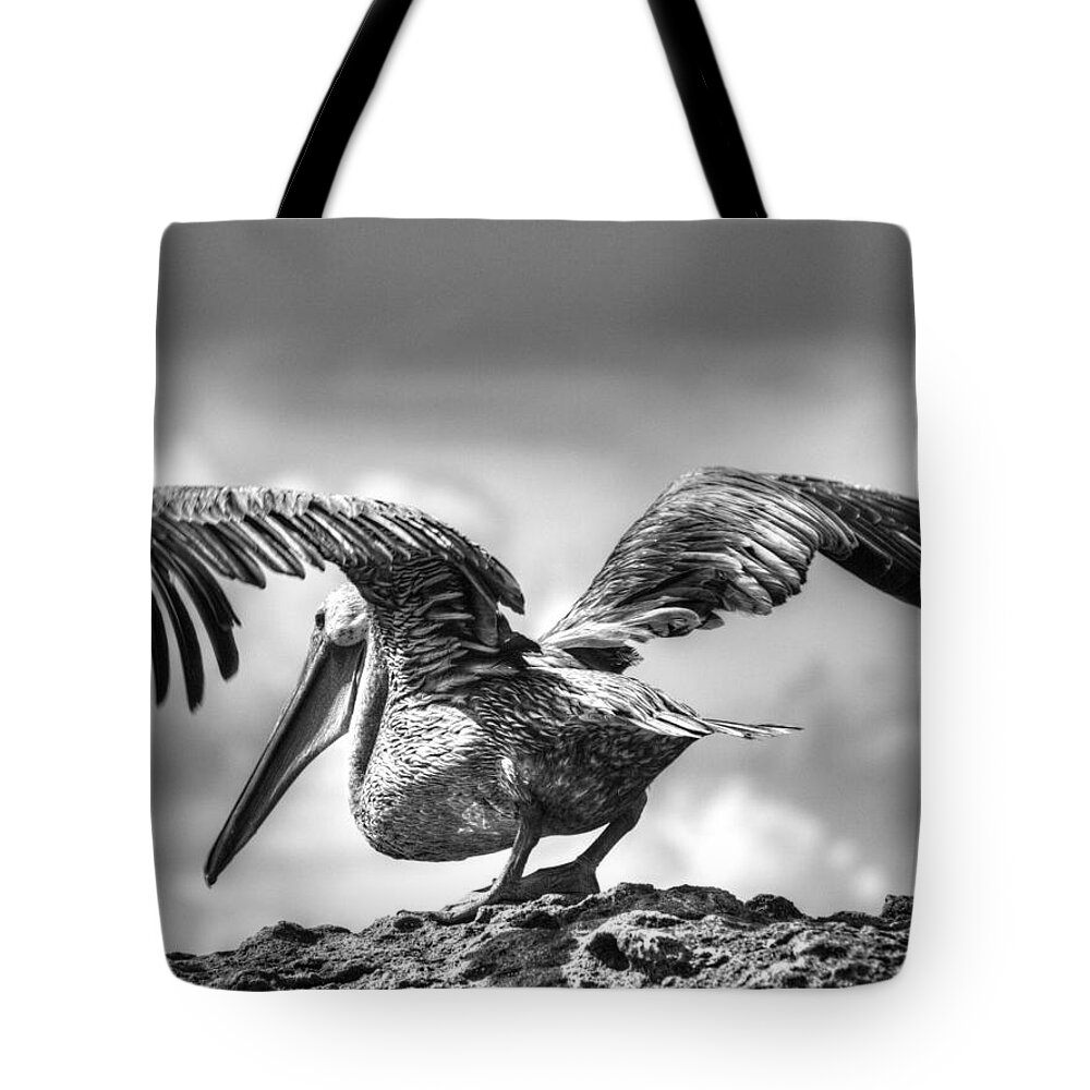 Black And White Tote Bag featuring the photograph Expecting to Fly by Joe Schofield