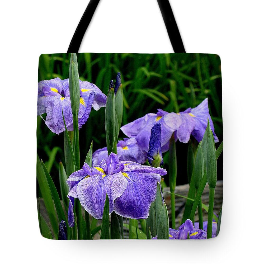Fine Art Tote Bag featuring the photograph Explorers by Rodney Lee Williams