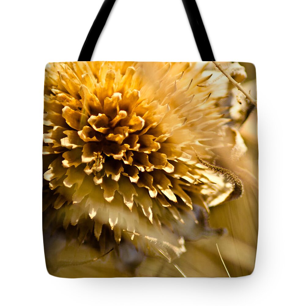 Exsiccate Tote Bag featuring the photograph Exsiccate by Joel Loftus