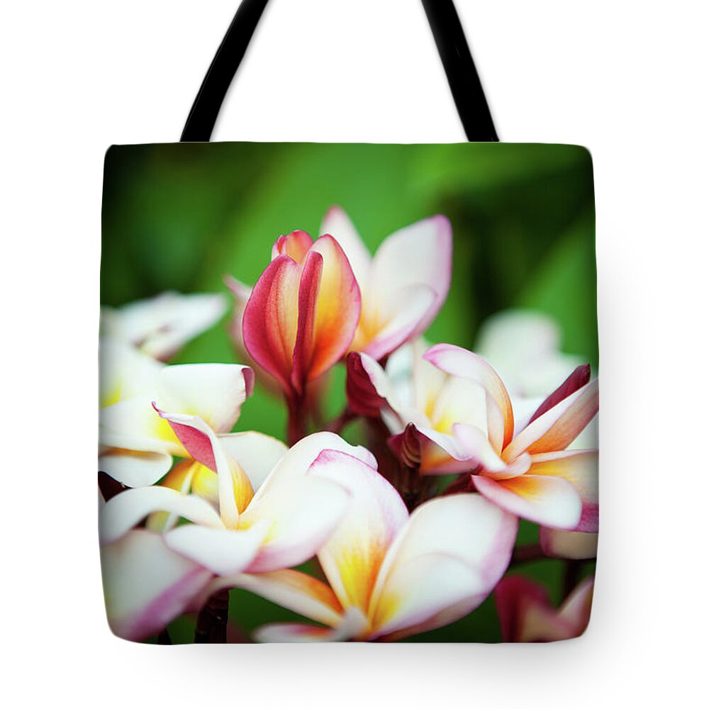 Flowerbed Tote Bag featuring the photograph Extreme Close Up Beautiful Plumeria by Danishkhan