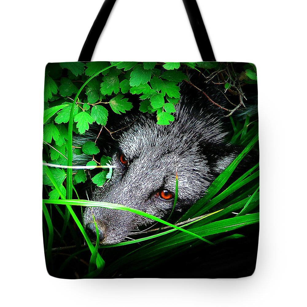 Eyes Tote Bag featuring the photograph Eyes in the Bushes by Zinvolle Art