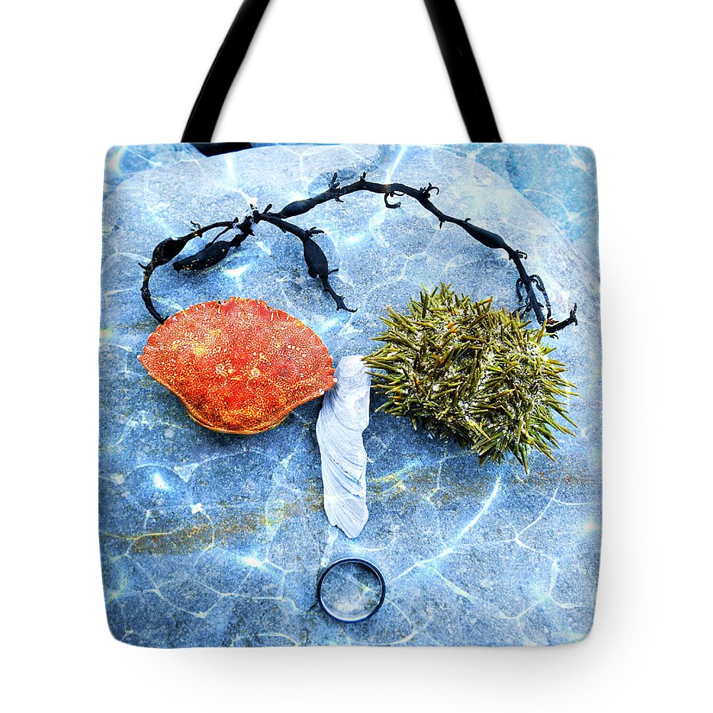 Face Tote Bag featuring the photograph Face On The Beach by Zinvolle Art