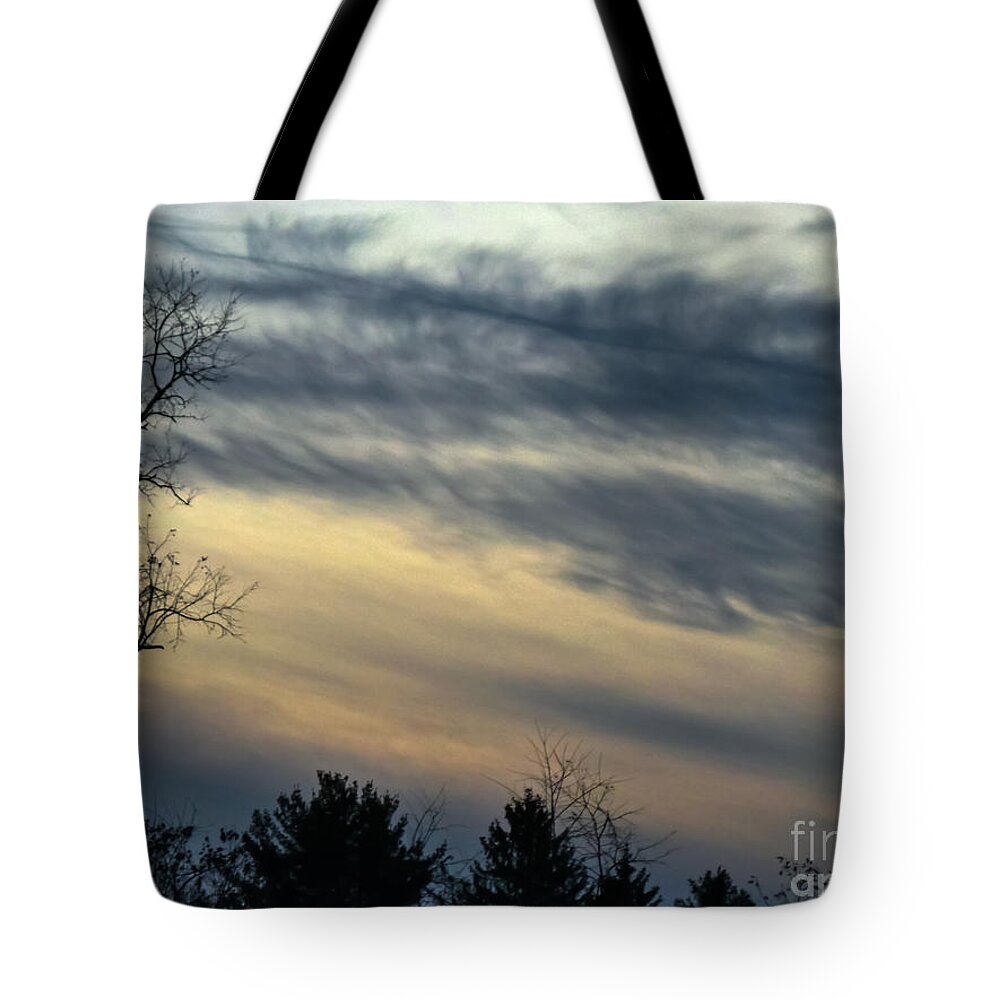 Winter Tote Bag featuring the photograph Fade To Black by Charlie Cliques