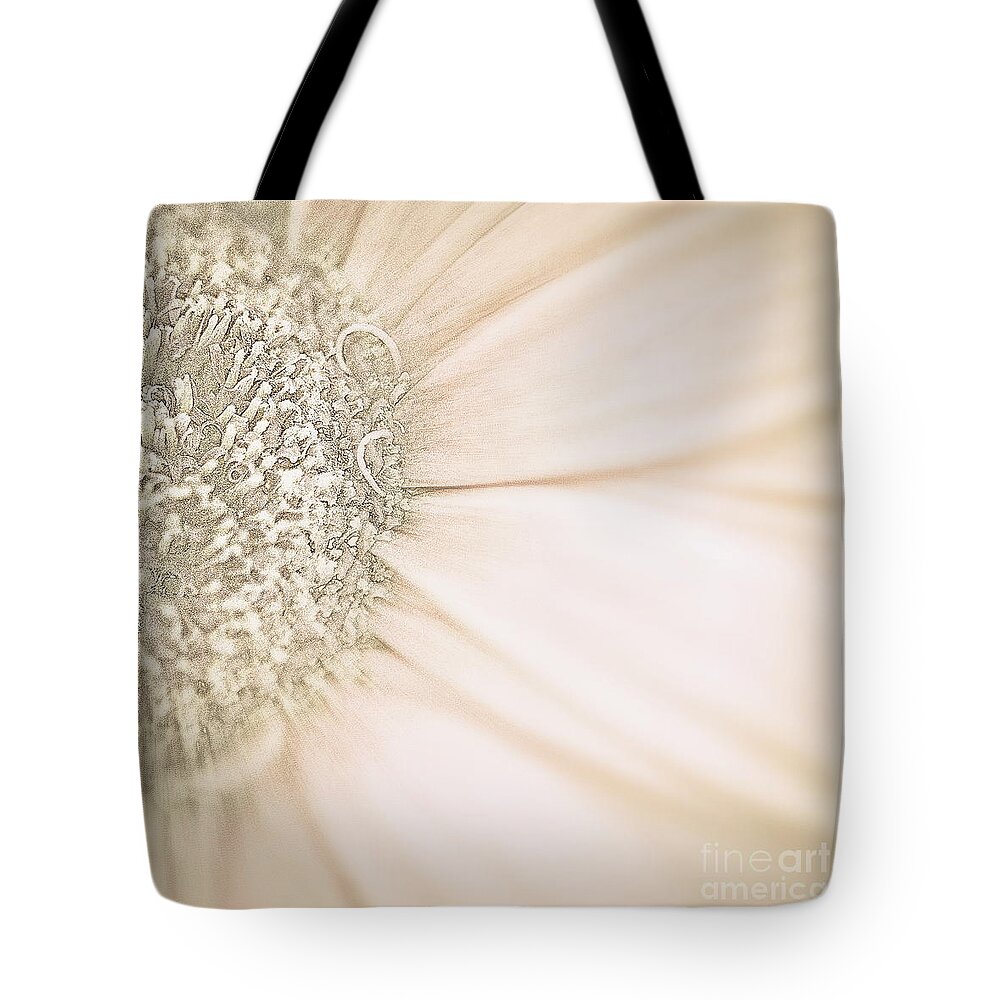 Gold Tote Bag featuring the photograph Fading into Gold by Ruth Jolly