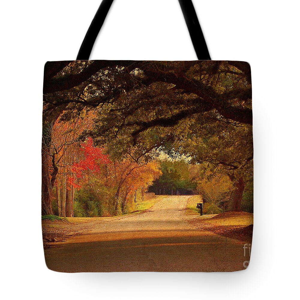Fall Tote Bag featuring the photograph Fall Along A Country Road by Kathy Baccari